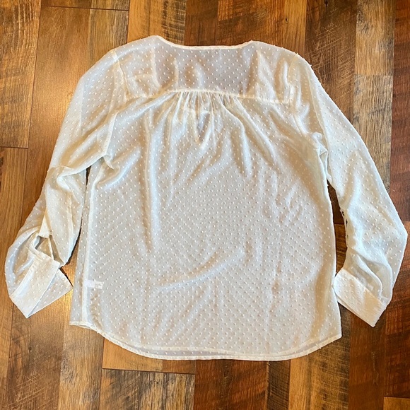 THE LIMITED Ivory Sheer Swiss Dot Blouse - Picture 5 of 5